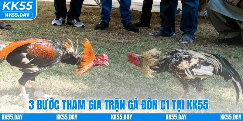 3 bước tham gia trận gà đòn C1 tại KK55