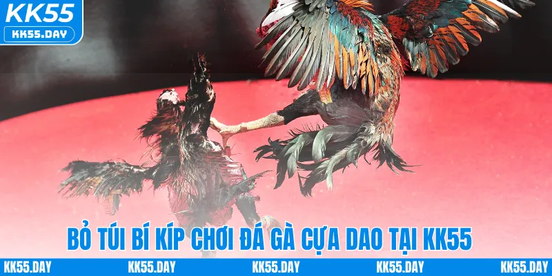 Bỏ túi bí kíp chơi đá gà cựa dao tại KK55