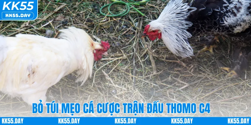 Bỏ túi mẹo cá cược trận đấu Thomo C4